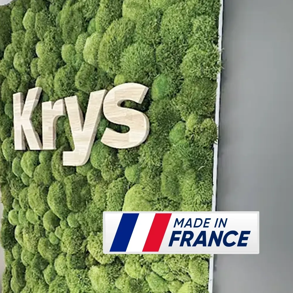 Lettrage Végétal Stabilisé Standard – Lettres En Lichen & Plantes Naturelles H25 Cm