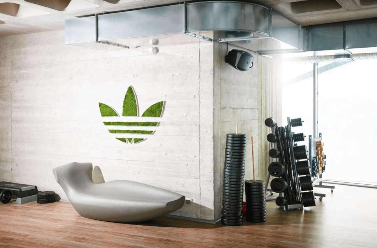 Enseigne lumineuse pour salles de sport 2 salle de sport avec logo de adidas
