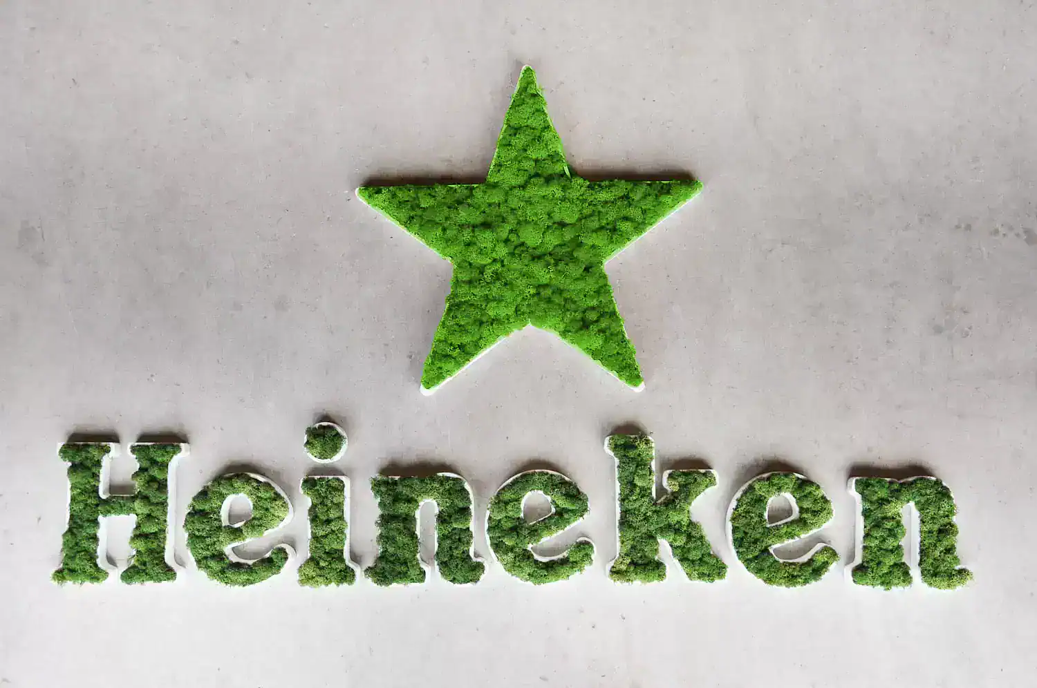 Lettrage et logo végétal heineken