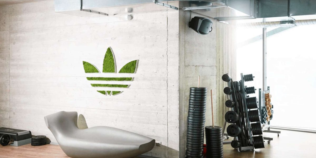 2 salle de sport avec logo de adidas